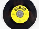 Erlene & and Her Girlfriends / Ray Caiola Experiment and Terror Vinyl 45