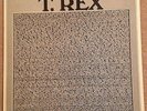 T. Rex (Marc Bolan) - The Peel Sessions 1987 12 inch vinyl single