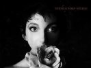 Kate Bush / The Sensual World - Vinyl LP 180g, audiophil