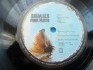 PINK FLOYD - ANIMALS - UK HARVEST LP - NICE COPY - LOTS OF LOVELY PICS