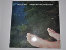 Roedelius - Wenn Der Südwind Weht - LP Vinyl  GERMAN