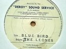 the leones - blue bird 7