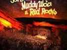 Joe Bonamassa-Muddy Wolf at Red Rocks Vinyl / 12