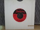 The Trips - Theres that Mountain - bside Love can't be Modernized
