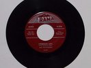 THE PRETENDERS I've Got To Have You/ Possessive Love 45 Rama Rec. RR-198 US VG+