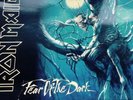 Iron Maiden-Fear Of The Dark Record Sleeve Signed By Bruce Dickinson