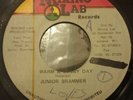 Junior Brammer Warm & Sunny Day killer Digi 7