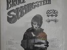 BRUCE SPRINGSTEEN Roxy L.A. in Stereo rare 2xLP Set NM in the shrink