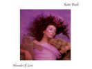 Hounds Of Love - Kate Bush (2010, Vinyl New) 180gm Vinyl