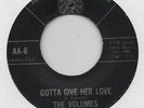 THE VOLUMES-GOTTA GIVE HER LOVE(GREAT OLDIE)-AMERICAN ARTS.