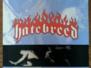 HATEBREED Satisfaction Death Desire LP Victory Records OOP punk hardcore 1997