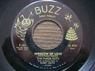 RARE DOO WOP  THE THREE DOTS  window of love  BUZZ  RARE PA. CLEAN & GREAT 