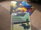GOMEZ LIQUID SKIN DOUBLE VINYL LP. HUT RECORDS HUTDLP54. 1999