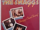 THE SHAGGS: Shaggs Own Thing RED ROOSTER psych VINYL LP RARE