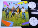 LED ZEPPELIN - KNEBWORTH ll (RARE JAPAN 2LP)