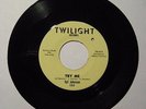RARE W.L. PROMO 45  CHICAGO SOUL FUNK 45  SYL JOHNSON  TRY ME  TWILIGHT 100