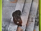 T.N.T. - Rimado De Ciudad LP vinyl 12