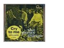 Pretty Things “Cry To Me/Get A Buzz” rare Danish 7”Single 1965 Fontana TF 267471