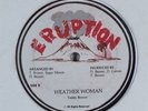 TEDDY BROWN Weather Woman ERUPTION 12