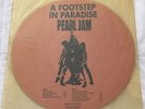 PEARL JAM A Footstep in Paradise PICTURE DISC Vinyl LP