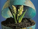 Jazz Meets The World *George Gruntz u.a.? 12