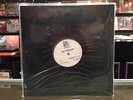 Afghan Whigs Do To The Beast TEST PRESSING sub pop lp twilight singers gentlemen