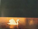 VAN MORRISON - Avalon Sunset   VINYL LP
