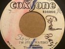 The Wailers 