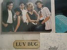 LUV BUG - Self Titled   VINYL LP SIGNED + PHOTO