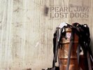 Pearl Jam Lost Dogs vinyl 3LP Original, perfect copy played once