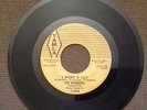 SUPREMES: I Want A Guy / Never Again 45 Tamla (stripes) rare Soul