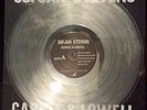 Sufjan Stevens - Carrie And Lowell - Limited Sold Out - CLEAR VINYL LP