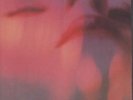 MY BLOODY VALENTINE To Here Knows When 7