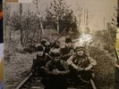 The Animals-Animal Tracks lp