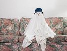 CHASTITY BELT Time To Go Home LP 10 Track Clear Vinyl With Inner Sleeve And Down