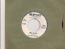 THE SKEE BROTHERS 45 RPM BIG DEAL with WHILE I'M AWAY