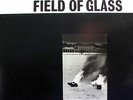 THE TRIFFIDS Field Of Glass EP 12