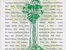 SPIRIT OF THE FOREST 1989 7