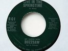 BUZZSAW Live In Springtime 45 1972 Lemon Drops GARAGE Fuzz