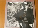 GRAHAM PARKER: HEAT TREATMENT   Original 1976 MERCURY LP