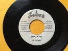 The Cruisers DOO WOP 45 There's A Girl / Foolish Me on Zebra Label Promo #E501