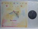 LP,  Cassandra Wilson, Point Of View, Steve Coleman, JMT 1986, Neuzustand, Mint