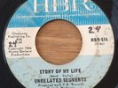 UNRELATED SEGMENTS   Story Of My Life / It's Unfair   HBR 45 garage rock punk