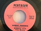 Honey and The Bees 