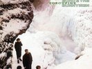 Echo & The Bunnymen - Porcupine 180 Gram WHITE LP - IMPORT - new copy