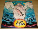 Steve Hillage Fish Rising Original SEALED LP Former Gong 1975 Island US Press
