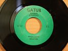 WILLIE LEE (TEE) Man That I Am SWEET THING New Orleans Soul Funk 45 on GATUR 511