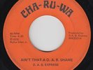 Funk 45 - D.A.B. Express - Ain't That A D.A.B. Shame - Cha-Ru-Wa - mp3 - rare