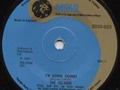 The Velours - I'm Gonna Change - MGM - Ex.