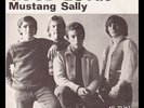 **Young Rascals - Good lovin' - Swedish Atlantic PS/45 Top Listen